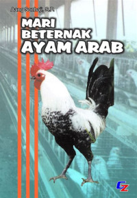 Mari Beternak Ayam Arab