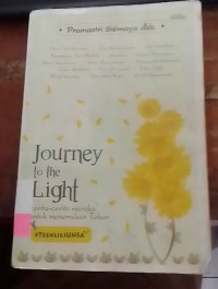 Journey To The Light