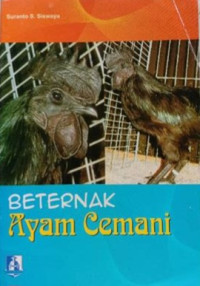 Beternak Ayam Cemani