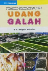 Peluang Usaha Budi Daya Udang Galah