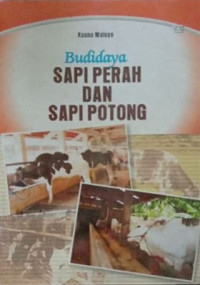 Budidaya Sapi Perah dan Sapi Potong