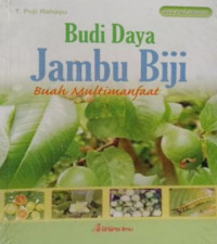 Budidaya Jambu Biji: Buah Multimanfaat